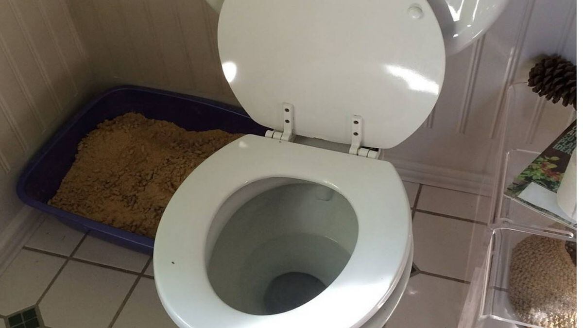 British company creates slanted toilet to curtail long bathroom breaks