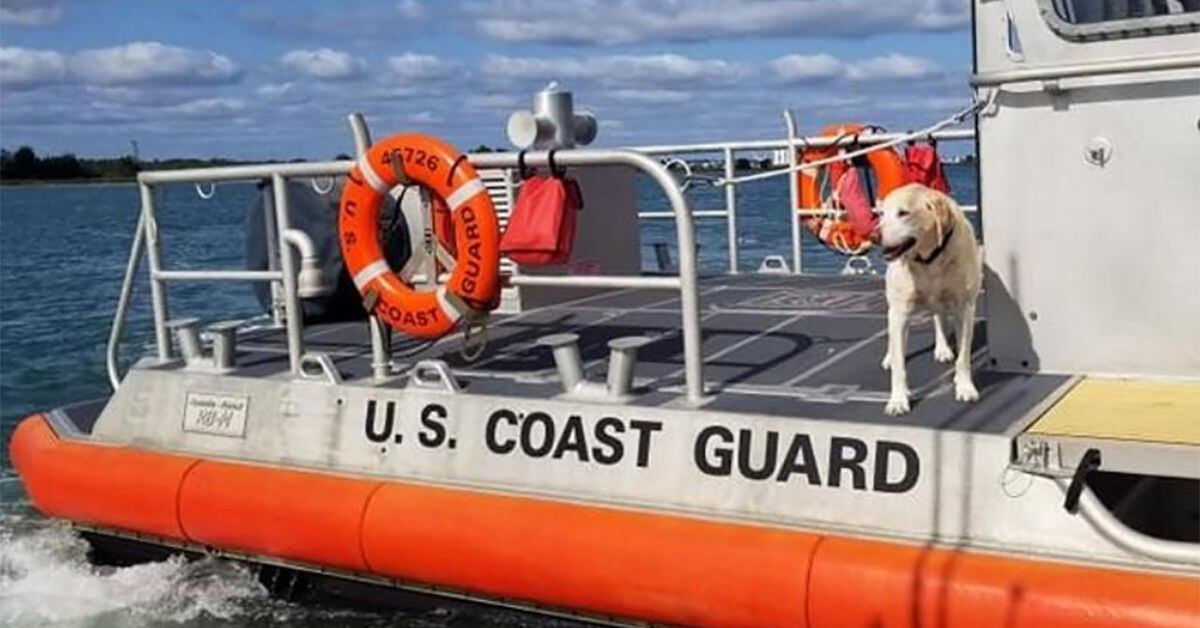 Beloved Coast Guard station dog in North Carolina dies